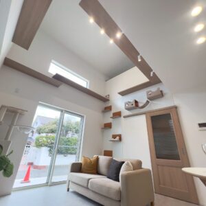 毎晩運動会になりますので寝不足に御注意ください