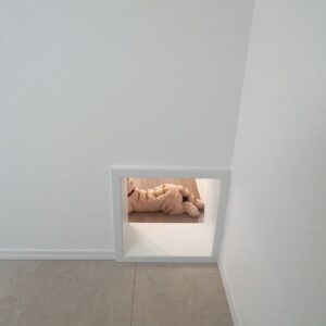 ちゃんと愛猫の通り道もあります